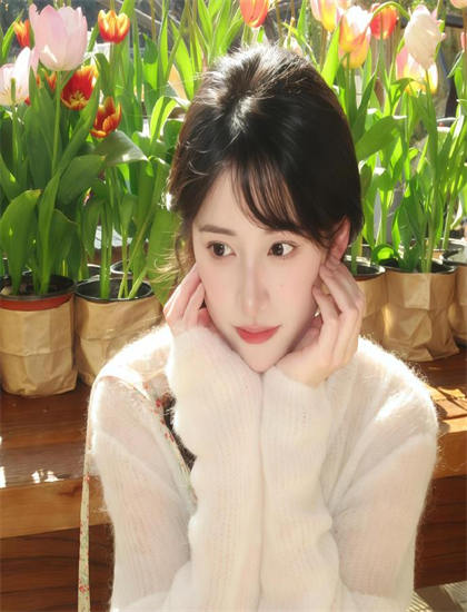 【影视解读】女友成堆 第二季的视觉语言与美学价值 技术专家解析的专业分析